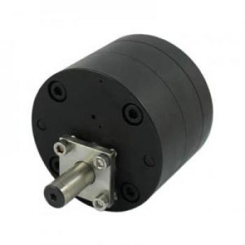 Gear pump PR100m3 (SN1710)